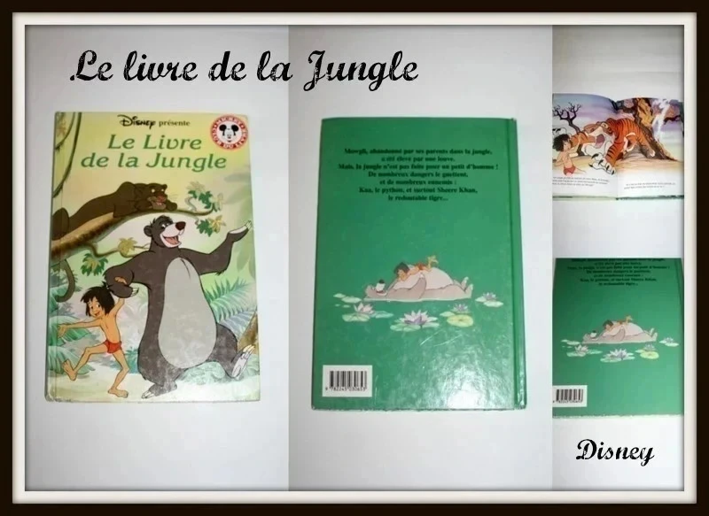 Lote de 2 libros Disney El Rey León + El Libro de la Selva – photo 4